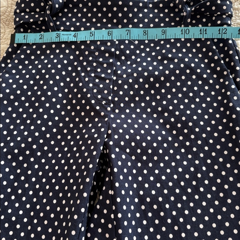 JULES & LEOPOLD Navy Polka Dot Pants - Picture 10 of 15
